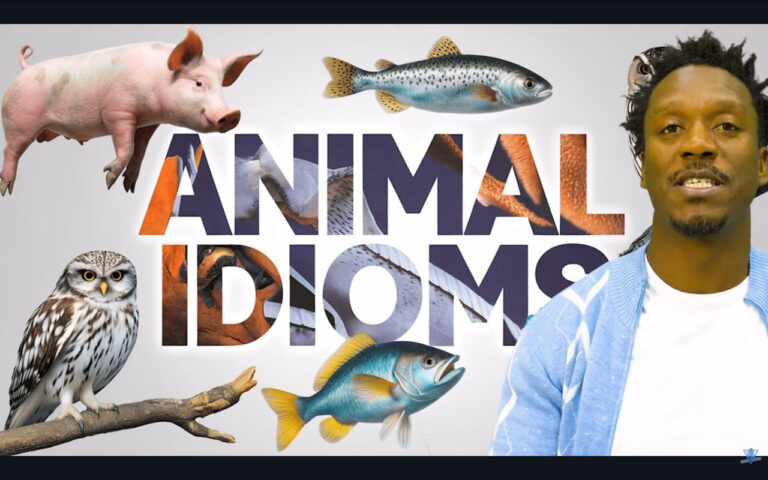 Animal Idioms: 15 Fun English Expressions You Need to Know