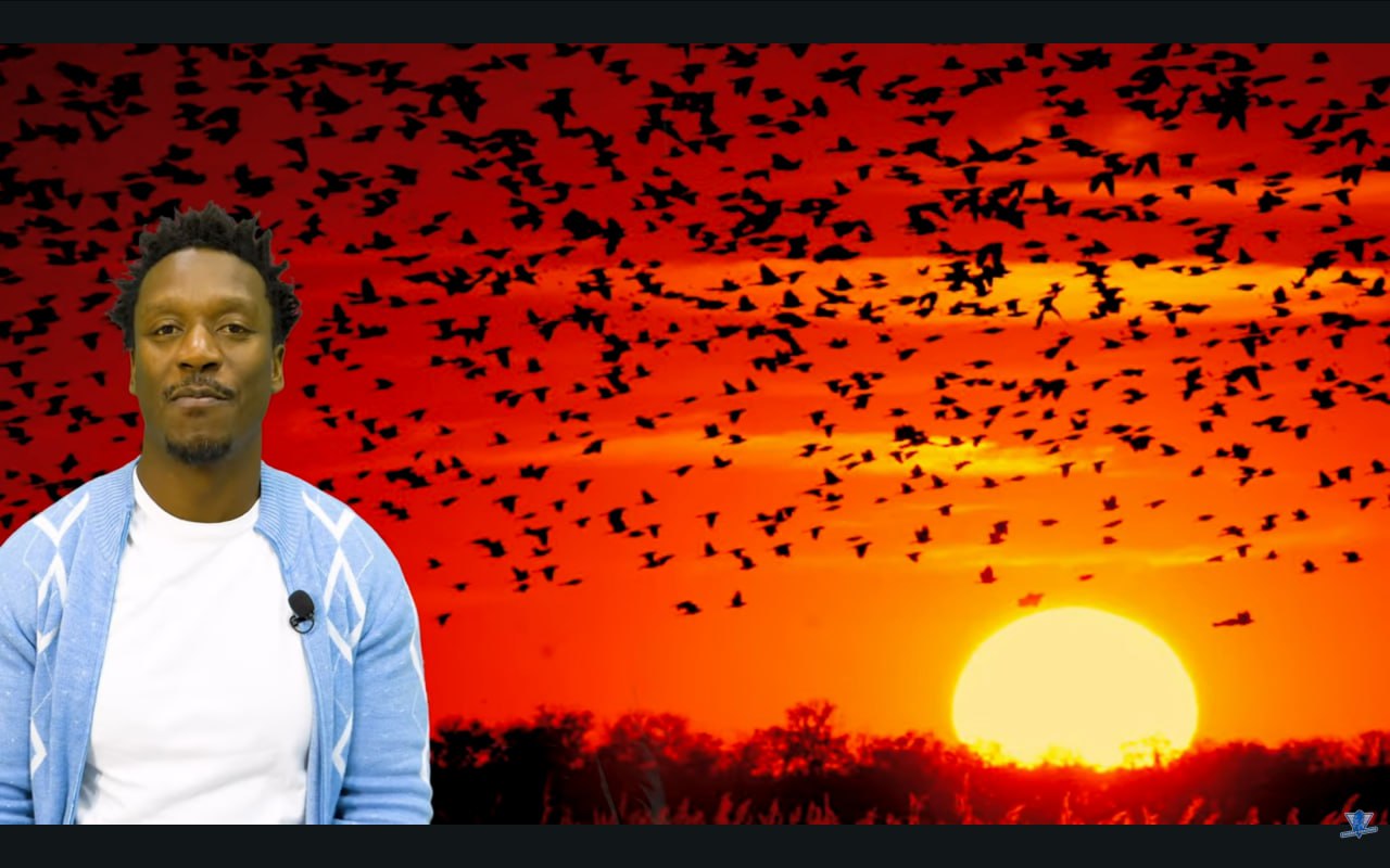 الطيور على أشكالها تقع - يتجمع الأشخاص المتشابهون معًا