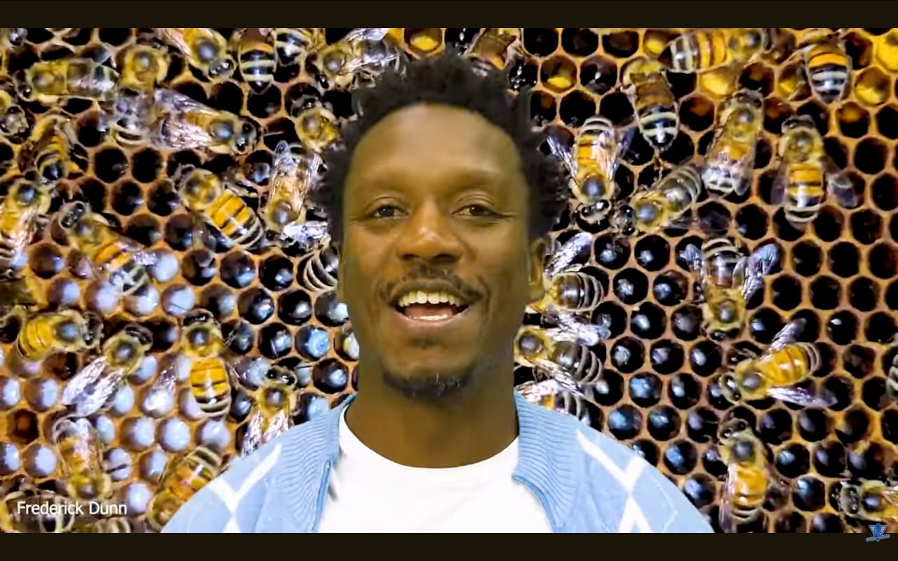 نشيط كالنحلة - تعبير مجازي يدل على العمل الجاد