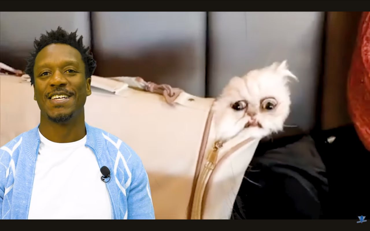 كشف السر - الإفصاح عن تعبير اصطلاحي سري