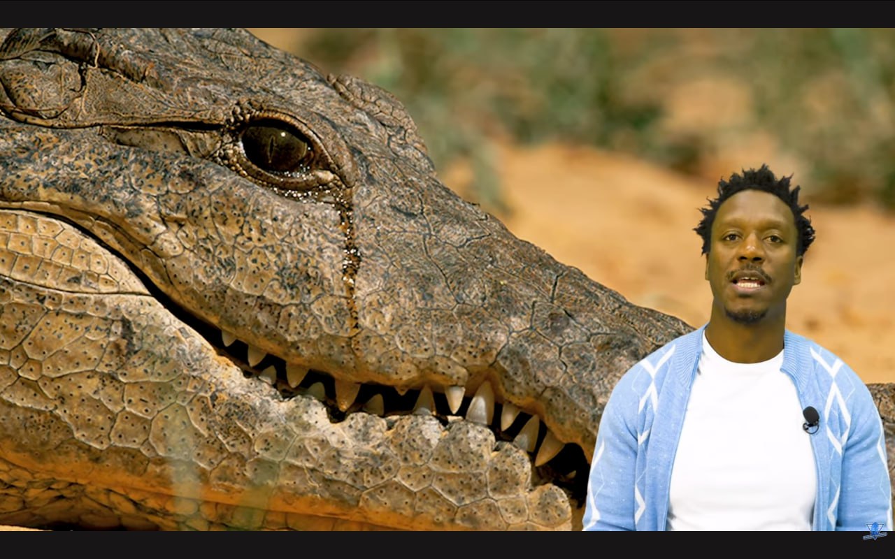 دموع التماسيح - بكاء مزيف أو غير صادق