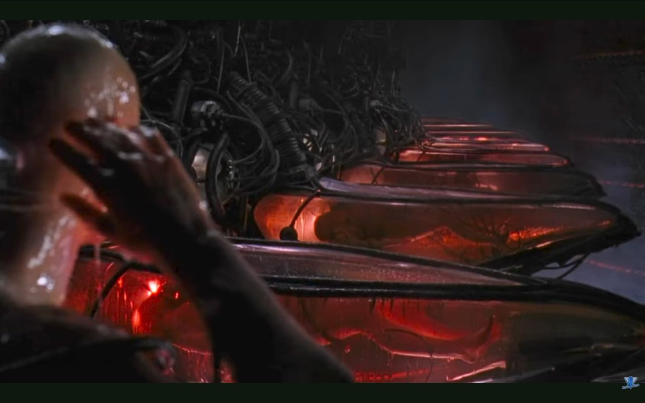 মানুষের শুঁটি খামার - যন্ত্রের ব্যাটারি হিসেবে মানুষ ব্যবহৃত হয়