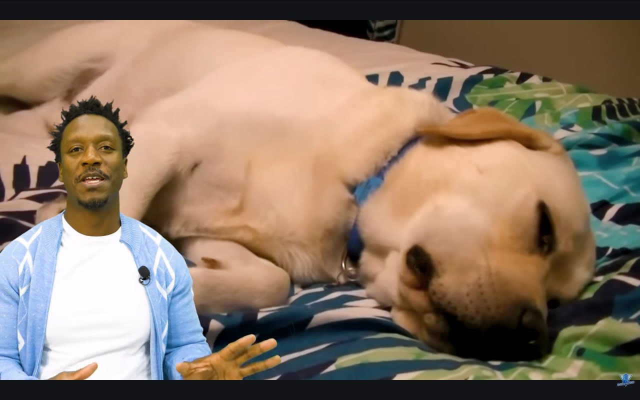 دع الأمور تسير على طبيعتها - لا تعكر صفو الوضع السلمي