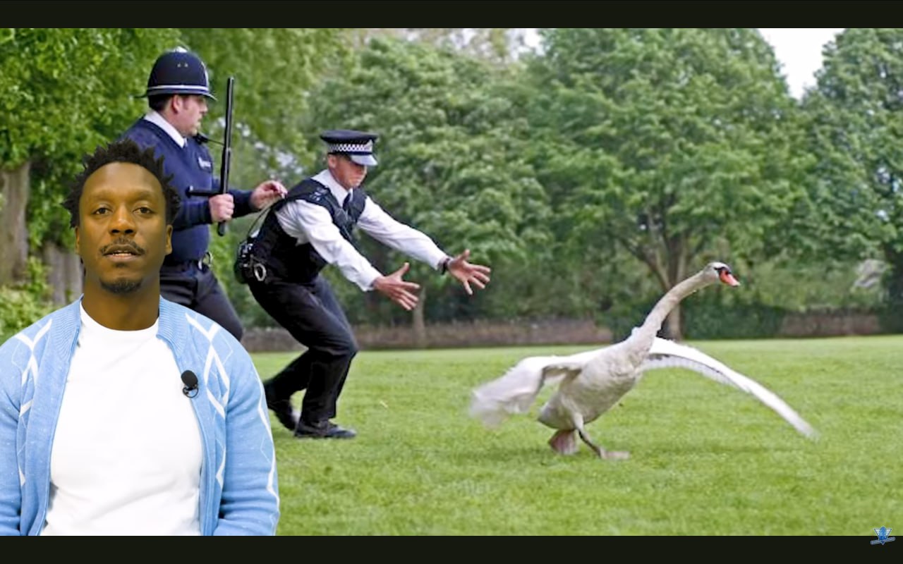 مطاردة عبثية - سعي لا طائل منه