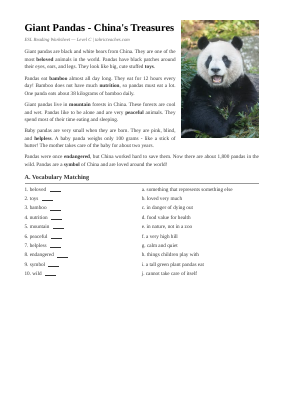 Sekolah Dasar Panda Raksasa