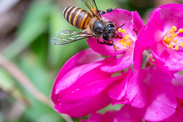 Honey Bees — Little Workers of Nature | Elementary ESL Worksheet (Level C)