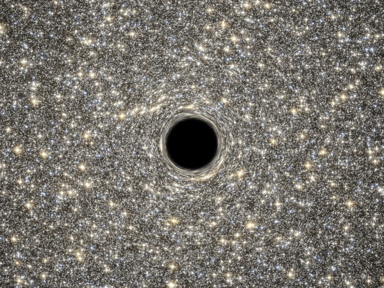 The Missing Link — Intermediate-Mass Black Holes
