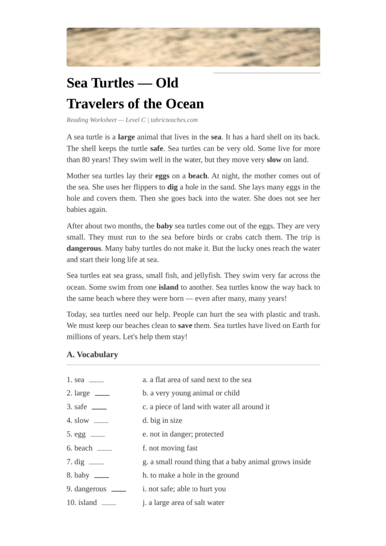 Sea Turtles ESL Worksheet — Elementary Level C Reading PDF