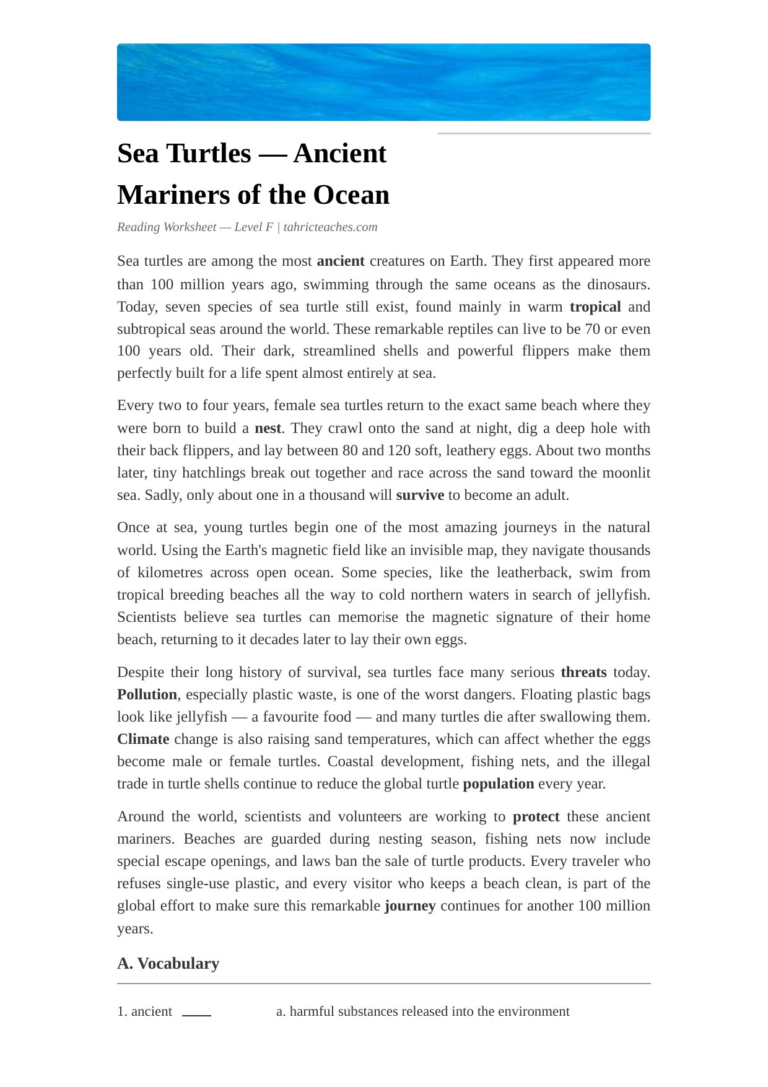 Sea Turtles ESL Worksheet — Advanced Level F Reading PDF