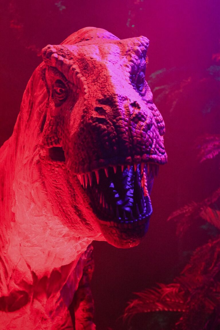 Dinosaurs ESL Worksheet — Elementary Level C Reading PDF