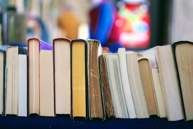 English grammar reference books covering conditional sentences