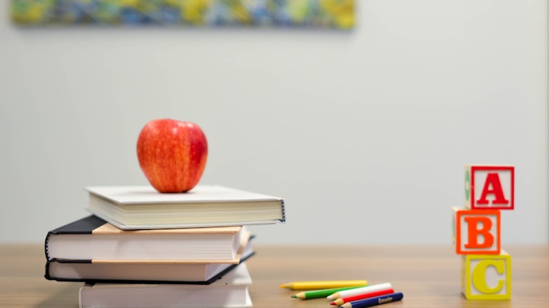 OECD education data analysis and international school system comparison