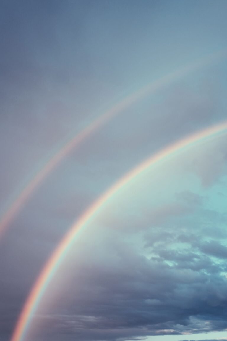 Rainbows ESL Worksheet — Advanced Level F Reading PDF
