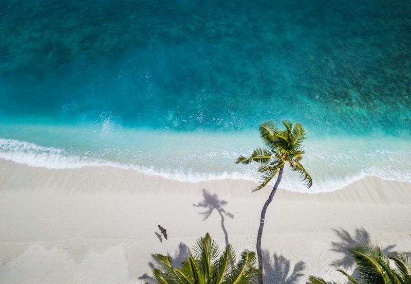 Aerial view of a deserted tropical beach, the kind of island Robinson Crusoe was stranded on