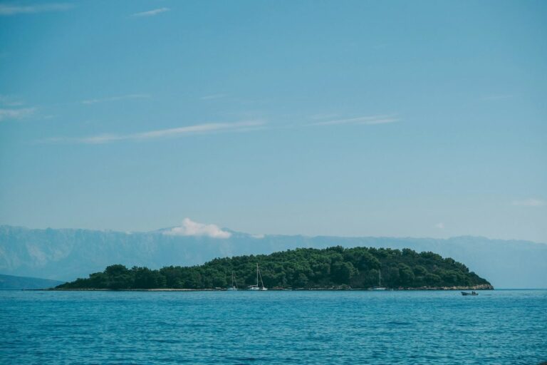 Robinson Crusoe summary illustrated by a forested island in a calm blue sea