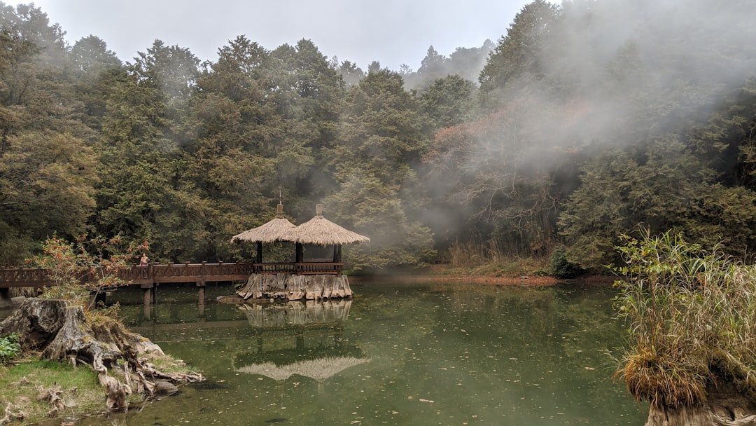 Hot Springs of Taiwan Elementary ESL Worksheet PDF