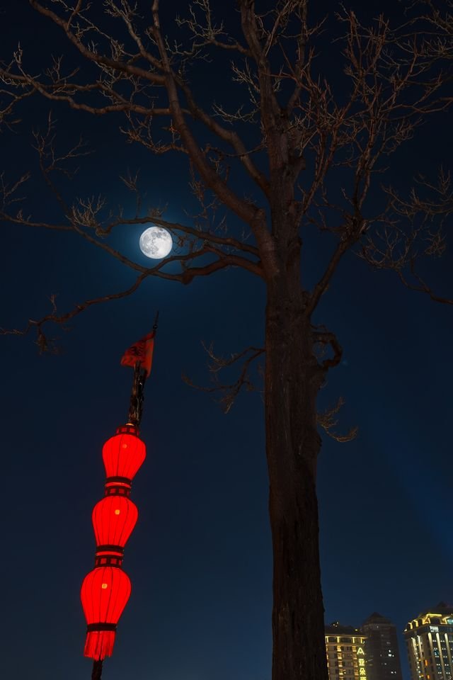 Mid-Autumn Festival ESL Worksheet — Advanced Level F Reading PDF