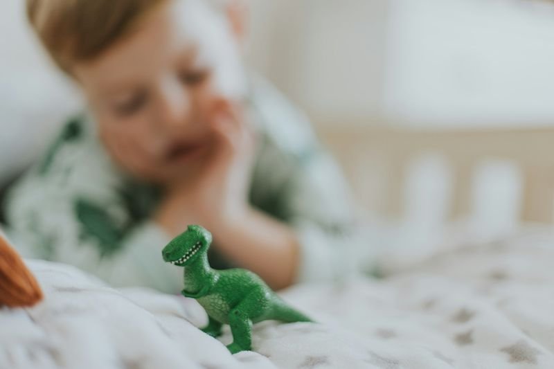 dinosaur figure used to build an ESL vocabulary lesson around a student's special interest